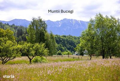 Spațiu comercial, în Șimon - 5