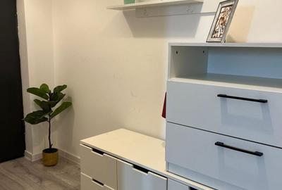 Apartament cu 2 camere, mobilat în Serele Vișoianu - 8