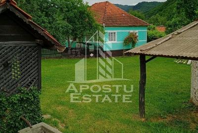 Casa bătrânească de vânzare | 4 camere | Hunedoara | Micănești - 30