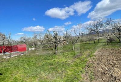 Casa cu 3 camere, 90 mp, 2 anexe gospodaresti si teren de 30 - 6