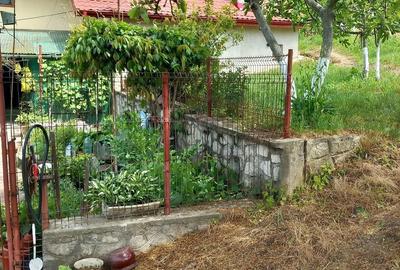Casă cu 6 camere cu Teren 4000 Mp în Central