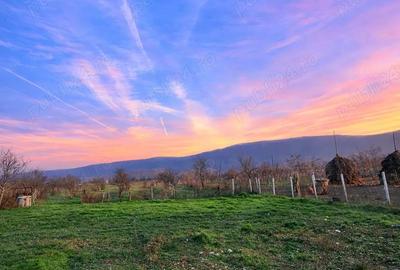 Teren de 4443 mp, în Bratia din Vale - 1