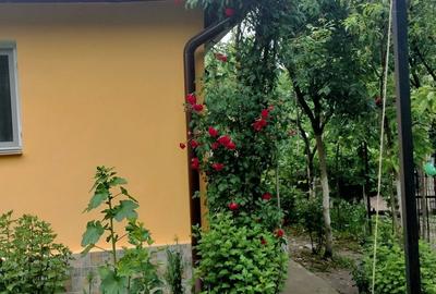 Casă cu 3 camere în Drăgășani - 5