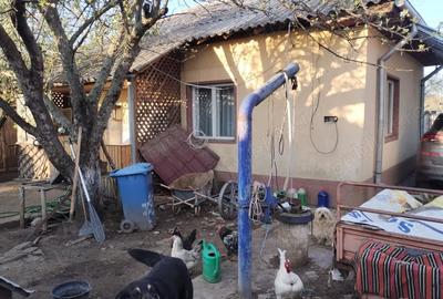 Casă cu Teren 1000 Mp în Central