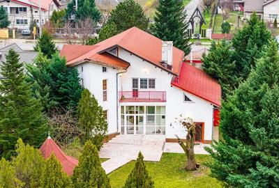 Vila familiei unite, pentru momente impreuna, Snagov - Ciofliceni - 2