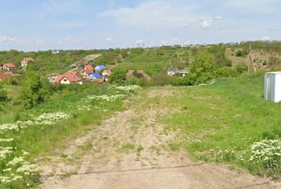 Teren Construcții intravilan de 3133 mp, în Cantemir - 1