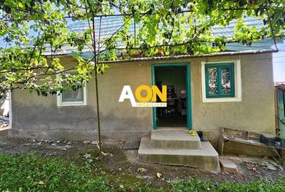 Casă batranească, 3 camere, 2200 mp teren, sat Bucerdea Grânoasă - 9
