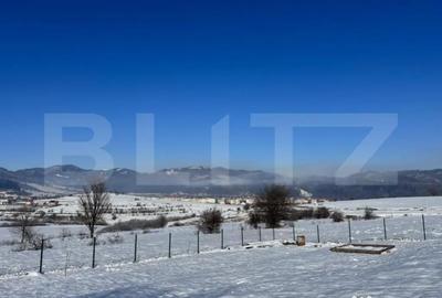 Teren de 1000 mp, în Tohănița - 2