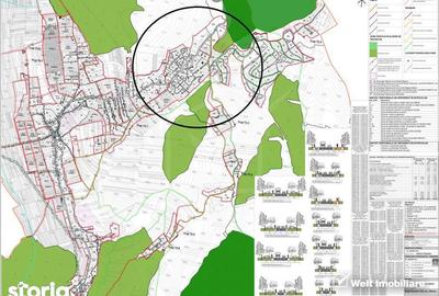 Teren de 700 mp, în Ciurila - 4