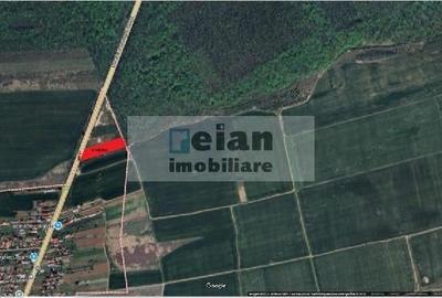 Tancabesti Stradal Dn1 Intravilan 4700mp, Dubla Deschidere 32/32 Ml