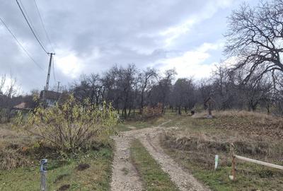Teren intravilan Sohodol, priveliste catre Bucegi, Piatra Craiului,Magura Codlei - 5
