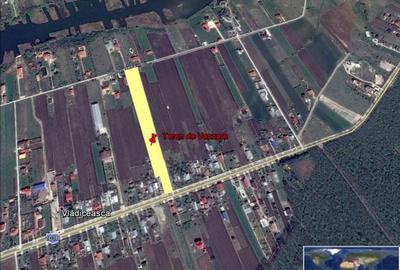 Teren Construcții intravilan de 13200 mp, în Snagov