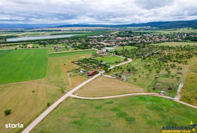 Spațiu comercial, în Valea Crișului - 2