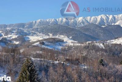 Teren de 10669 mp, în Moieciu