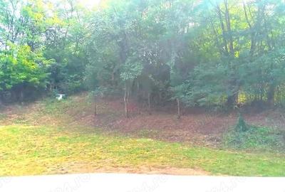 Casă cu 4 camere cu Teren 1705 Mp în Iedera - 3