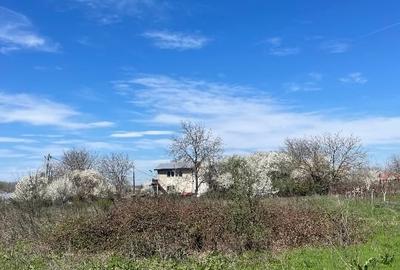 Teren Construcții intravilan de 800 mp, în Runcu - 9