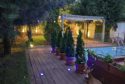 Vila Ghencea Maracineni - 3