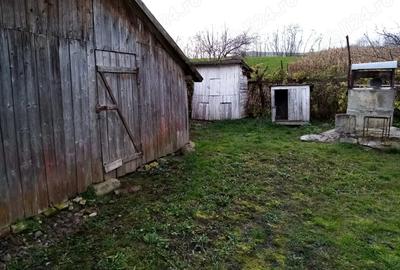 Casa de vanzare cu gradina Iclandu Mare - 4