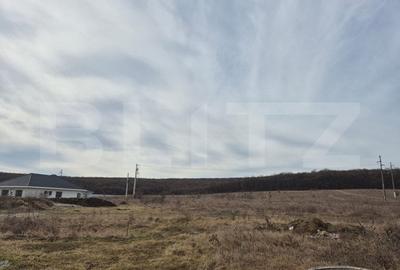 Vila noua de vanzare la intrare in Corunca - 2