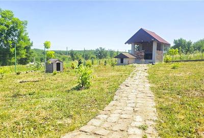 Teren Construcții intravilan de 500 mp, în Sud - 13