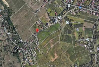 Viticultori Copou teren 4000mp (6loturi)cu Puz realizat - 2