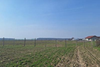 Teren în Bălăceanca