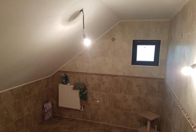 Casă individuală cu 5 camere cu Teren 800 Mp în Lunca Cetățuii - 6