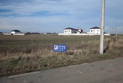 Domnesti-Narciselor - 10