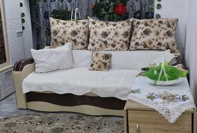 Vand apartament confort 2 , viziru 1 Pistruiatul - 10