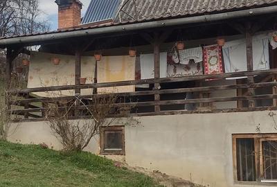 Casă cu Teren 11196 Mp în Central - 3