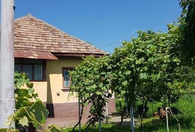 Casă cu 4 camere în Miluta - 1