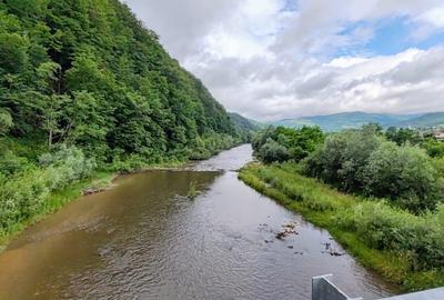 2,64 Ha TEREN SUPERB pe malul raului Crisul Repede padure parau NEGRENI - CLUJ - 25