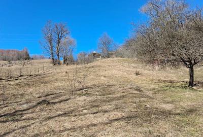 Spațiu comercial, în Central - 5