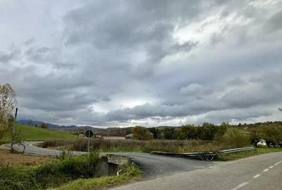 Teren intravilan 3.749 mp Beznea, com. Bratca, jud. Bihor - 2