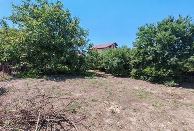 | TEREN 556 MP | POZITIE CENTRALA | UTILITATI LA LOT | BERCENI | - 4