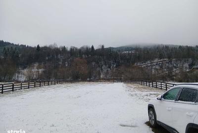 Casă cu 4 camere cu Teren 110 Mp în Vama - 3