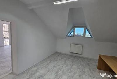 Spațiu comercial, de 250 mp, în Cantacuzino - 3