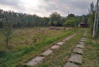 Casă cu 4 camere în Abuș - 10