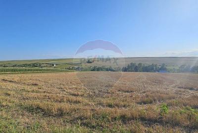 Teren intravilan, 7500 mp in Moara Carp / Strada Eternita... - 3