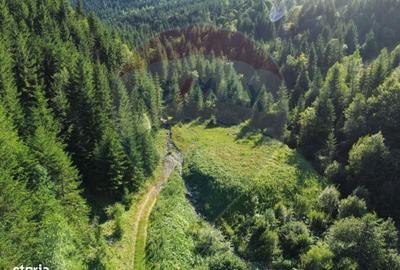 Spațiu comercial, în Central - 1