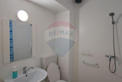 Hotel/Pensiune, de 180 mp, în Baia de Fier - 30