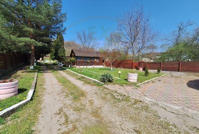 Casa de Vacanta - Un Colt de Rai , Stefanesti-Arges - 14