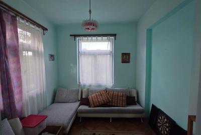 Casa cu aer nobil in Baia de Cris - 6