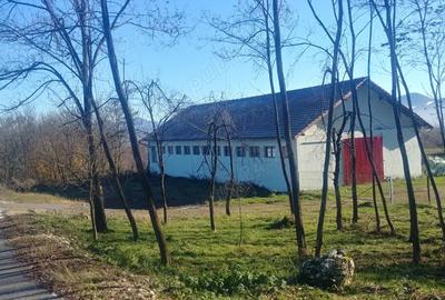 Hala Si teren 6 Ha pretabil agroturism, camping, drum asfaltat - 2