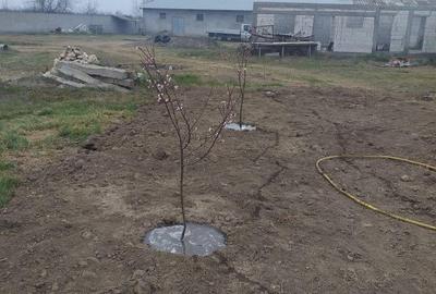 Spațiu comercial, în Lumina - 3