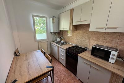 Apartament cu 2 camere nedecomandat în Podu Roș - 11