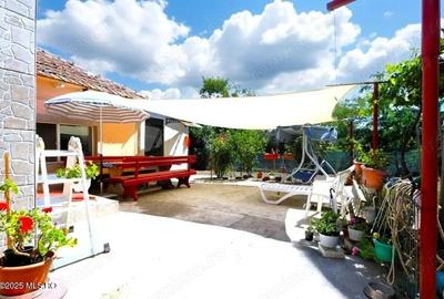 Casă cu 6 camere cu Teren 680 Mp în Palazu Mare - 19