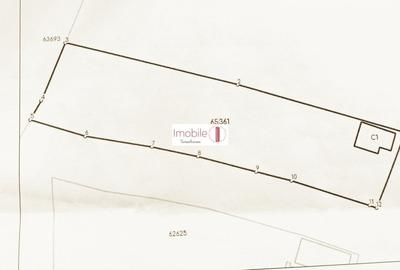 Proprietate cu Teren Generos (2608 mp) in Suceagu - 6