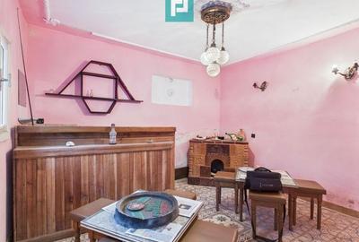 Casă P+E+M cu teren 8163 mp – Roșia Nouă (Petriș) - 17