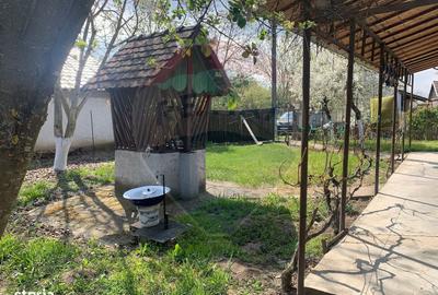 Casă cu 3 camere cu Teren 1090 Mp în Ant - 14